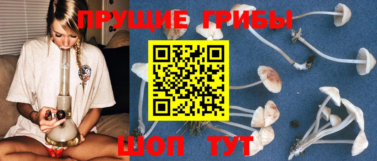 Галлюциногенные грибы ЛСД  Вход с VPN  Новотроицк 