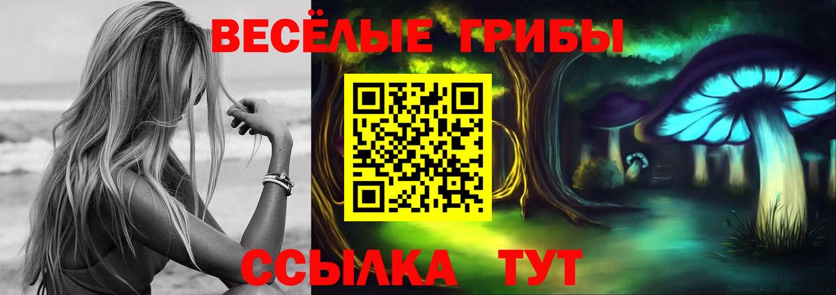 Гашиш Новотроицк